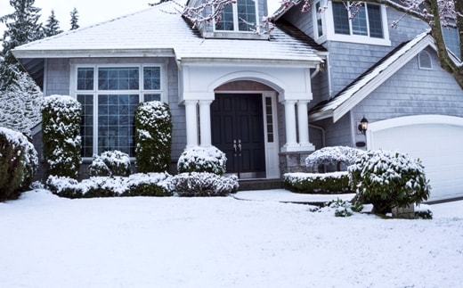 “Snow” Your Facts: Protect Trees and Shrubs from Winter
