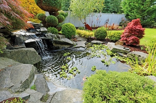 Sustainable Landscaping Trends