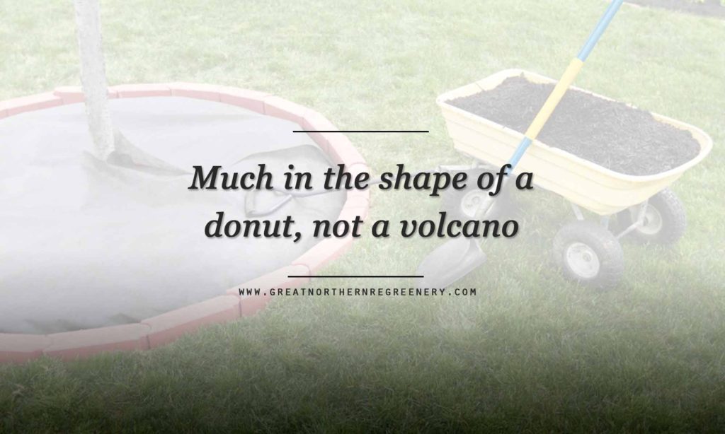 Mulch in the shape of a donut, not a volcano