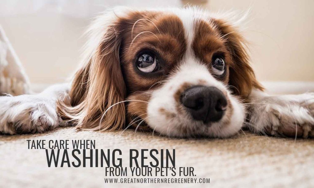Take care when washing resin from your pet’s fur.