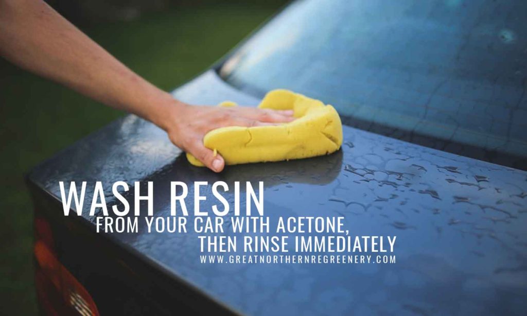 Wash resin from your car with acetone, then rinse immediately