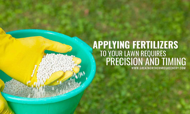 Applying fertilizers to your lawn requires precision and timing