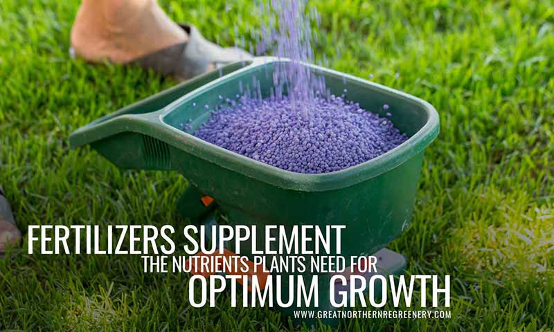 Fertilizers supplement the nutrients plants need for optimum growth