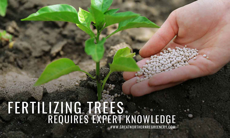 Fertilizing treesrequires expert knowledge