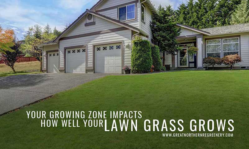 Your growing zone impacts how well your lawn grass grows