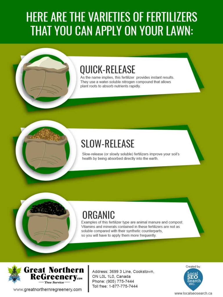 infographic about types of fertilizers