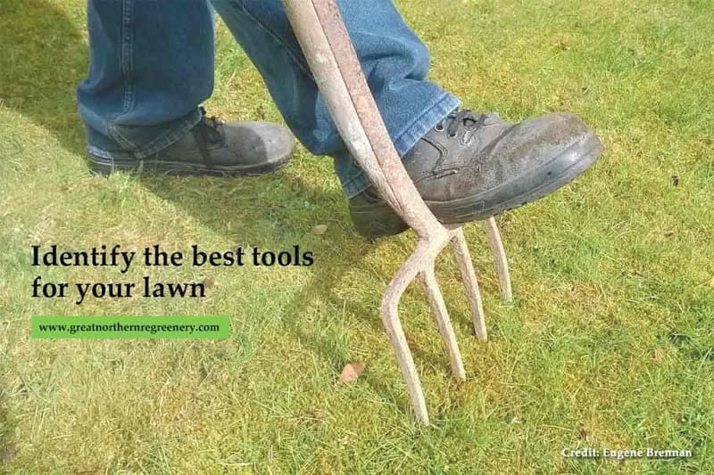 Identify the best tools for your lawn