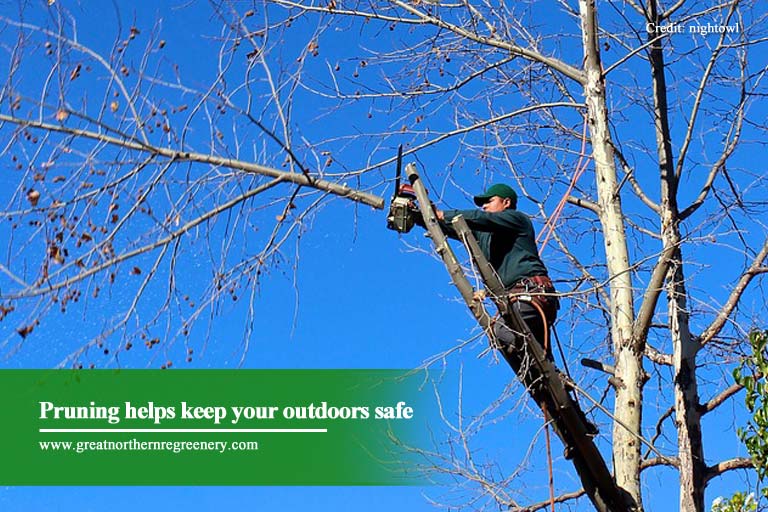 Pruning helps keep your outdoors safe