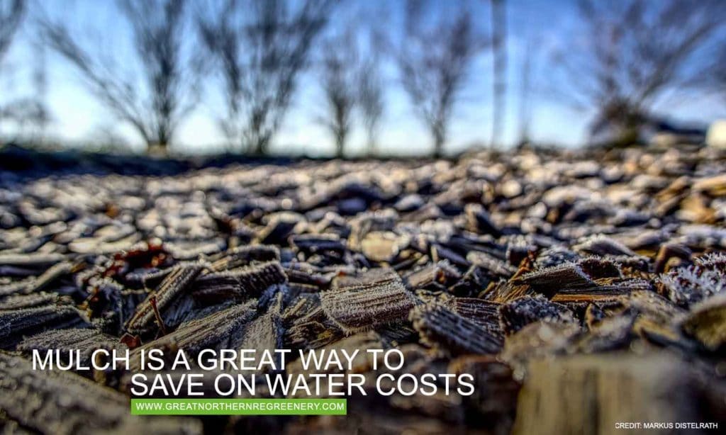 Mulch is a great way to save on water costs