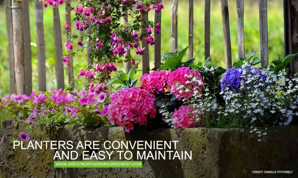Planters are convenient and easy to maintain