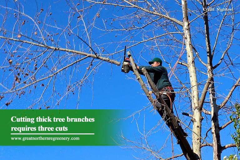 Cutting thick tree branches requires three cuts