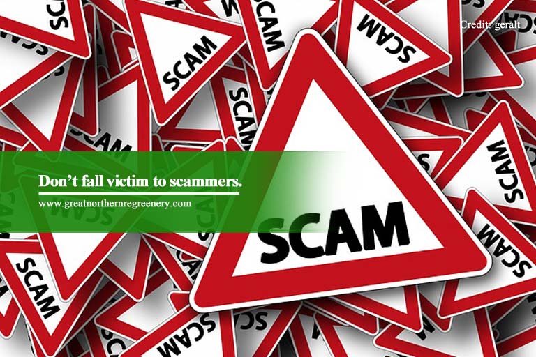 Don’t fall victim to scammers.