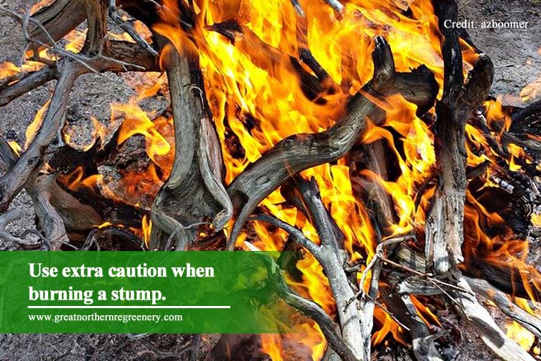Use extra caution when burning a stump.