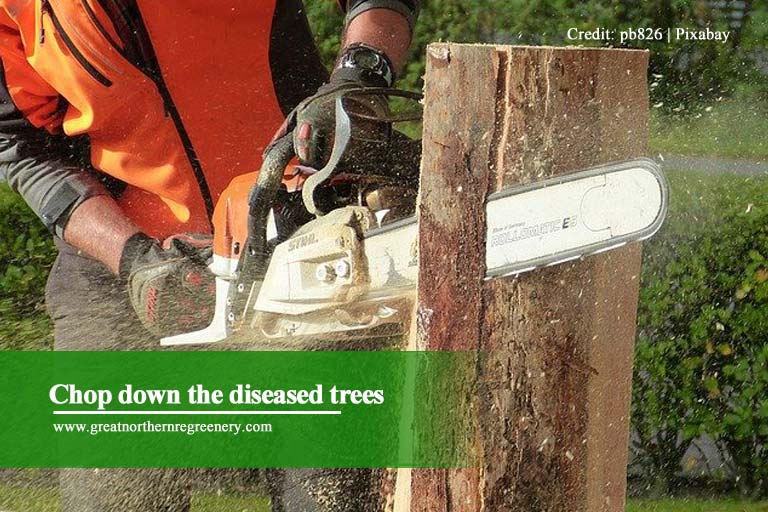 Chop down the diseased trees