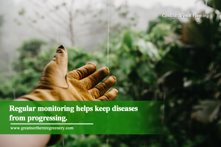 Regular monitoring helps keep diseases from progressing.
