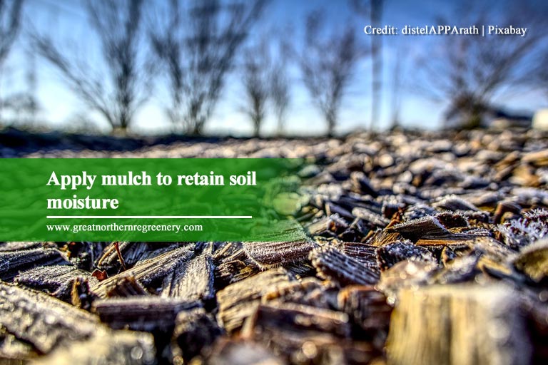 Apply mulch to retain soil moisture