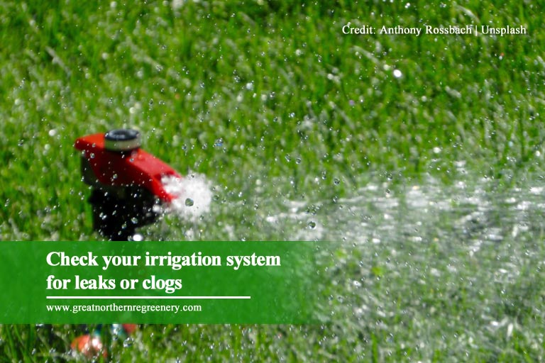 Check your irrigation system for leaks or clogs