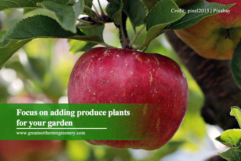 Focus on adding produce plants for your garden