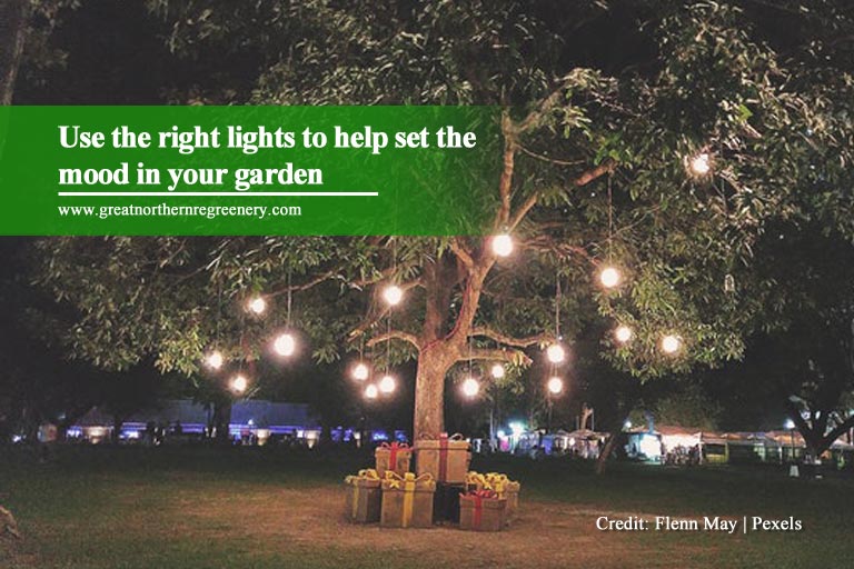 Use the right lights to help set the mood in your garden