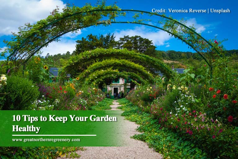 10 Tips to Keep Your Garden Healthy