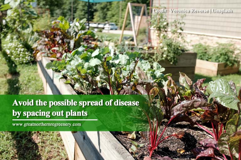 Avoid the possible spread of disease by spacing out plants