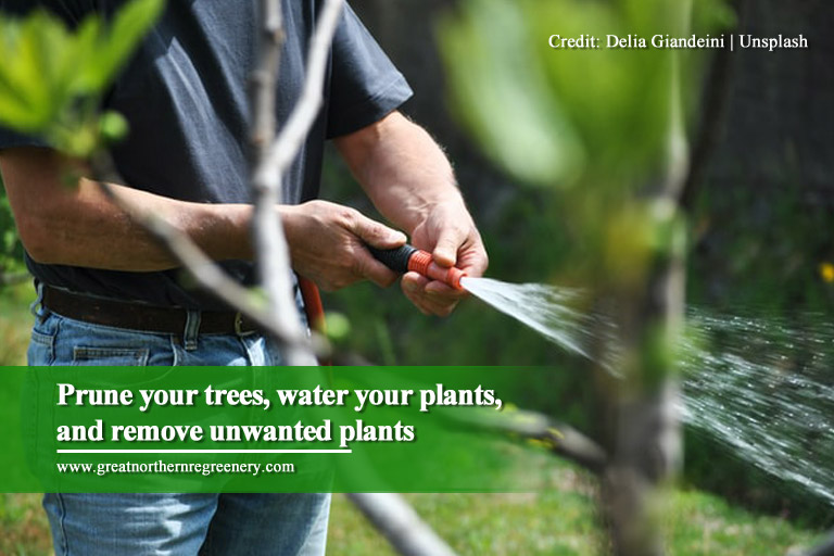 Prune your trees, water your plants, and remove unwanted plants