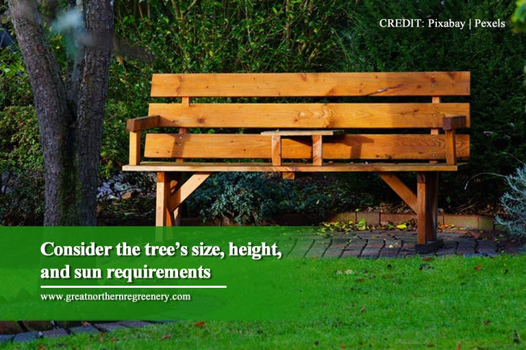 Consider the tree’s size, height, and sun requirements