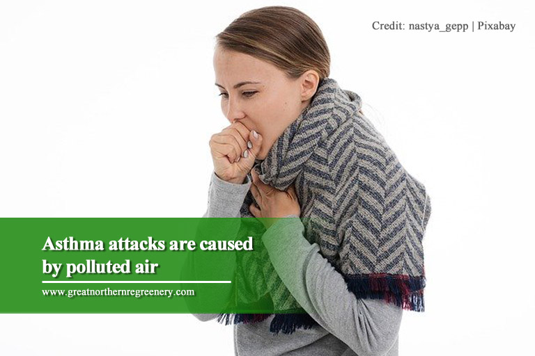 Asthma attacks are caused by polluted air
