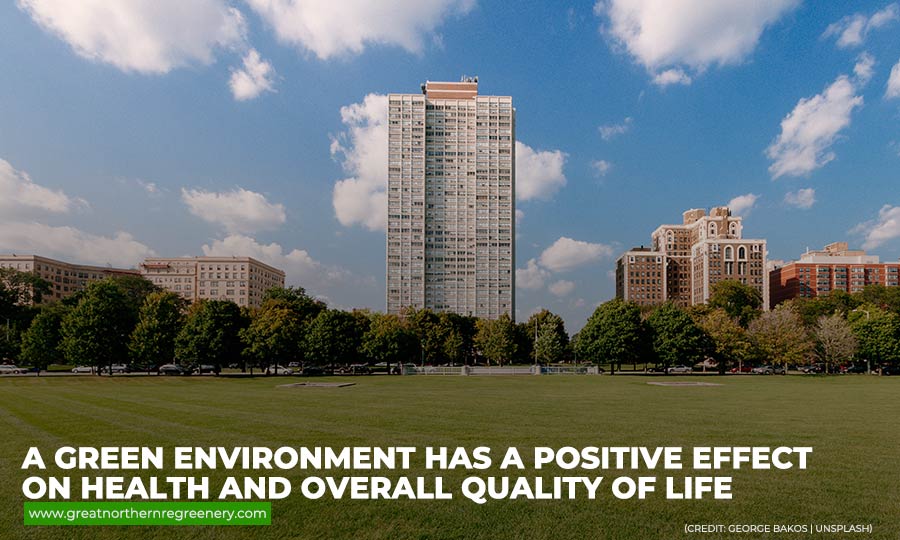 A green environment has a positive effect on health and overall quality of life