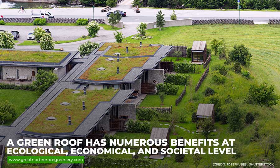 A green roof has numerous benefits at ecological, economical, and societal level