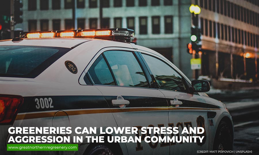 Greeneries can lower stress and aggression in the urban community