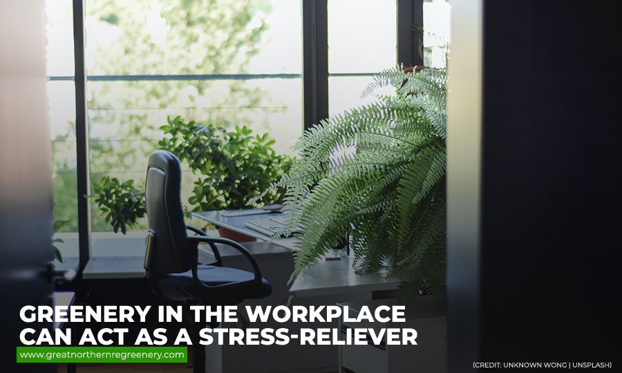 Greenery in the workplace can act as a stress-reliever