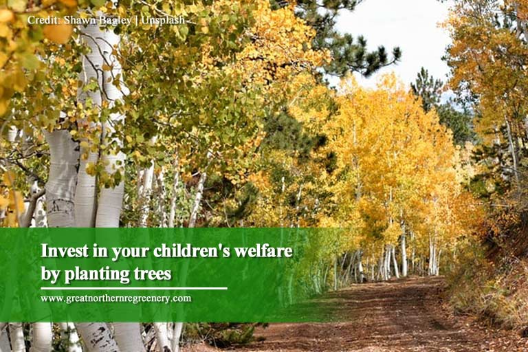Invest in your children's welfare by planting trees