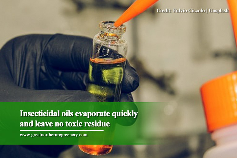 Insecticidal oils evaporate quickly and leave no toxic residue