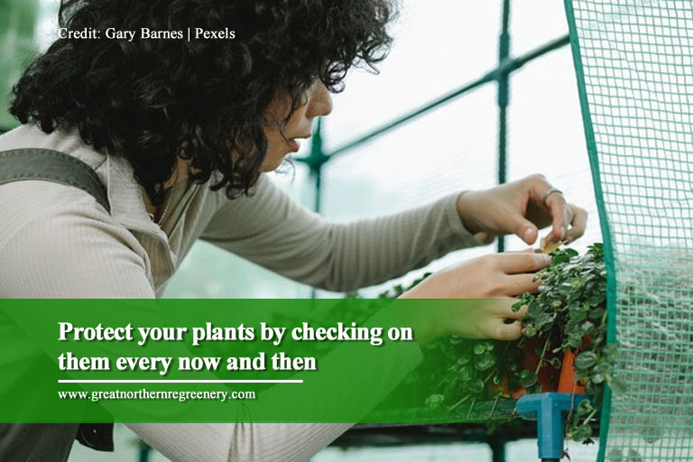 Protect your plants by checking on them every now and then