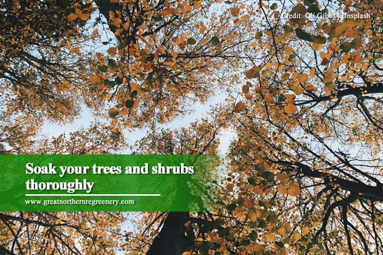 Mergulhe suas árvores e arbustos completamente