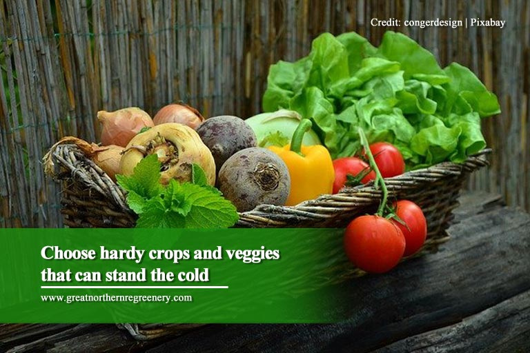 Choose hardy crops and veggies that can stand the cold