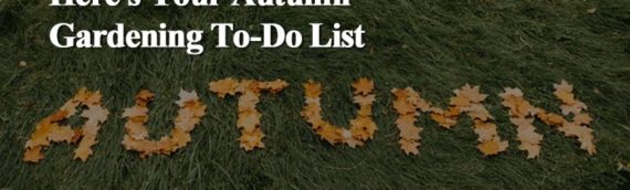 Here’s Your Autumn Gardening To-Do List