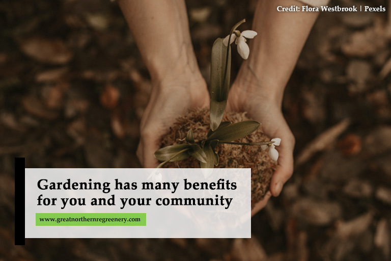 Gardening has many benefits for you and your community