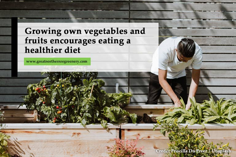 Growing own vegetables and fruits encourages eating a healthier diet