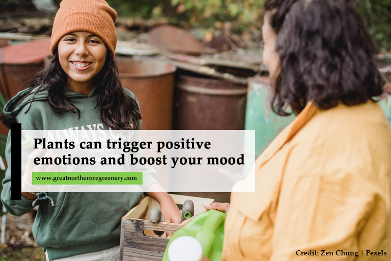 Plants can trigger positive emotions and boost your mood