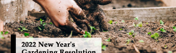 2022 New Year’s Gardening Resolution