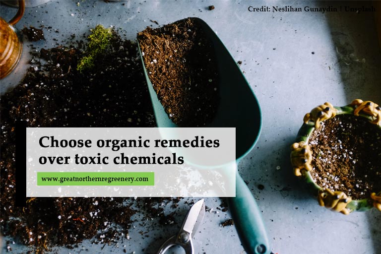 Choose organic remedies over toxic chemicals